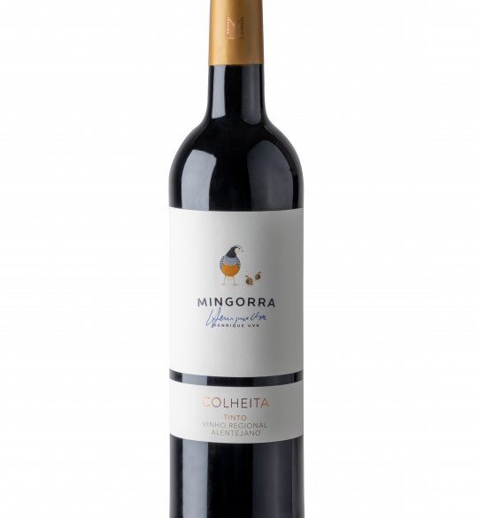 Vinhos Tintos